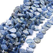 Natural Kyanite/Cyanite/Disthene Quartz Beads Strands, Frosted, Teardrop, 12~20x5~15x3~7mm, Hole: 0.8mm, about 24pcs/strand, 15.04''(38.2cm)(G-E569-R03)