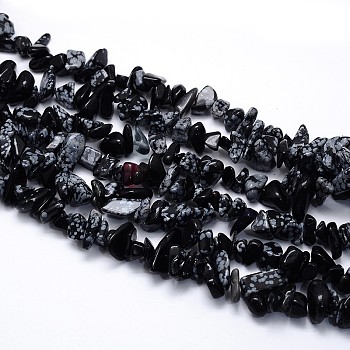 Natural Snowflake Obsidian Beads Strands, Chips, 5~8x5~8mm, Hole: 1mm, about 31.5 inch