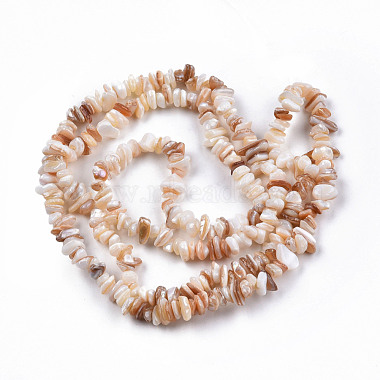 Natural Freshwater Shell Beads Strands(SHEL-N026-210)-2