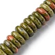 Natural Unakite Beads Strands(G-F743-06D)-1