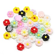 Opaque Epoxy Resin Decoden Cabochons, Daisy Flower, Mixed Color, 8x2.5mm(CRES-M032-01)
