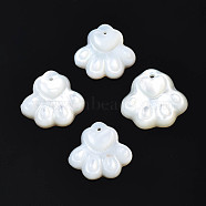 Natural White Shell Charms, Dog's Paw, 12~13x13~14x2~3mm, Hole: 0.9mm(SSHEL-S258-98A)