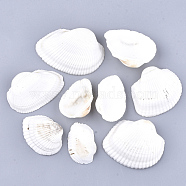 Clam Shell Beads, Undrilled/No Hole Beads, White, 29~51x43~71x11~20mm(SSHEL-S258-43)