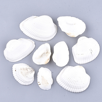Clam Shell Beads, Undrilled/No Hole Beads, White, 29~51x43~71x11~20mm