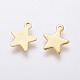 304 Stainless Steel Charms(X-STAS-L234-069G)-2
