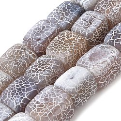 Natural Weathered Agate Beads Strands, Cuboid, 12~13x12~13x17mm, Hole: 1mm, about 20pcs/strand, 13.39''(34cm)(G-Q169-B04-01)