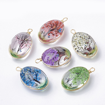 Glass Pendants, with Dried Flower Inside & Brass Findings, Oval, Golden, Mixed Color, 23x13x10mm, Hole: 2mm