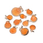 Electroplated Golden Brass Trim Natural Sea Shell Pendants, Shell Shape Charms, Dark Orange, 20~34x15~29x3.5~6mm, Hole: 1.2~1.8mm(SSHEL-N042-31)