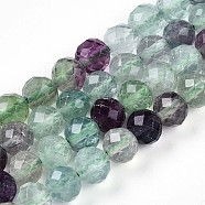 Natural Fluorite Beads Strands, Round with Faceted, 6~6.5x6~6.5mm, Hole: 0.9mm, about 63pcs/strand, 15.35''(39cm)(G-T140-19A)