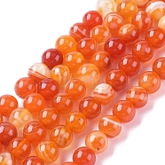 Natural Striped Agate/Banded Agate Beads Strands, Dyed & Heated, Round, Coral, 8mm, Hole: 1.2mm, about 47pcs/strand, 14.96 inch(38cm)(X-G-G582-8mm-62)