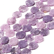 Natural Lepidolite Beads Strands, Hexagon, 13.5~18x14~18x3~4mm, Hole: 1mm, about 23~24pcs/strand, 15.35~ 15.75 inch(39~40cm)(G-L095-A01-01B)