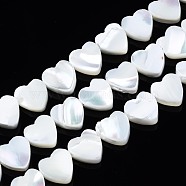 Natural Trochid Shell/Trochus Shell Beads Strands, Bleach, Heart, White, 8x8x2.5mm, Hole: 0.8mm, about 50~51pcs/strand, 15.55 inch~15.94 inch(39.5~40.5cm)(SSHEL-N034-98B-B01)