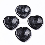 Natural Larvikite Thumb Worry Stone, Pocket Palm Stones, for Healing Reiki Stress Relief, Heart Shape, 39~40x39~40x5~6mm(G-N0325-01X)