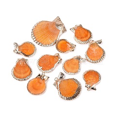 Electroplated Golden Brass Trim Natural Sea Shell Pendants, Shell Shape Charms, Dark Orange, 20~34x15~29x3.5~6mm, Hole: 1.2~1.8mm(SSHEL-N042-31)