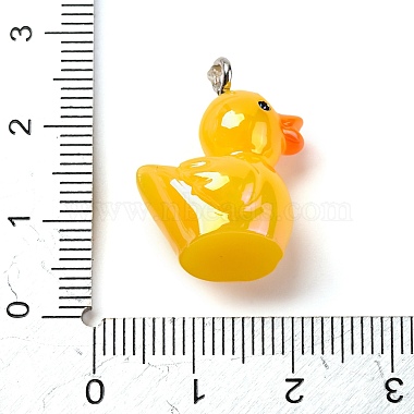 Animal Theme Resin Pendants(RESI-S010-04B)-2