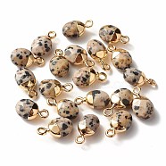 Electroplate Natural Dalmatian Jasper Charms, with Iron Findings, Faceted, Oval, Golden, 14~15x8x5~5.5mm, Hole: 1.8mm(G-S344-09C)