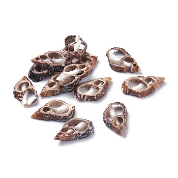 Natural Spiral Shell Beads, No Hole/Undrilled, Sienna, 14~22x8.5~12x3~4mm