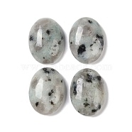 Natural Sesame Jasper Cabochons, Oval, 20~20.8x15~15.5x5.8~6.5mm(G-B080-01A-04)