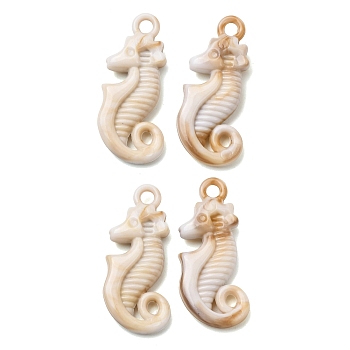 Imitation Shell Acrylic Pendants, Navajo White, Sea Horse Charms, 27.5x12x5mm, Hole: 2.5mm, about 640pcs/set