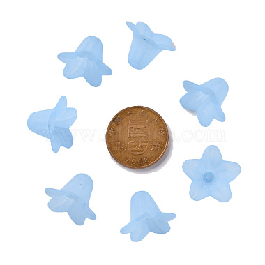 Transparent Acrylic Beads(PLF018-06)-3
