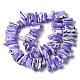 Dyed Natural Trochus Shell Beads Strands(SSHEL-C013-09)-2