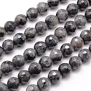 Natural Larvikite Beads Strands, Faceted, Round, Gray, 6mm, Hole: 1mm, about 63pcs/strand, 15.55 inch(G-G736-01-6mm)