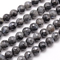 Natural Larvikite/Black Labradorite Beads Strands, Faceted, Round, Gray, 6mm, Hole: 1mm, about 63pcs/strand, 15.55 inches(G-G736-01-6mm)