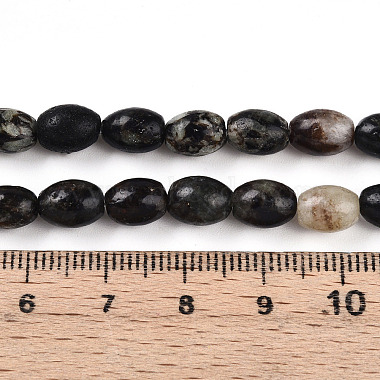 Natural Biotite Beads Strands(G-N346-02B-02)-5