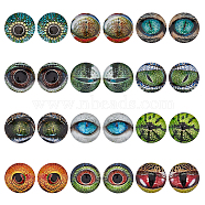 12 Sets 12 Style Luminous Self Adhesive Glass Eyes Cabochons, Glow in the Dark, for Doll Animal Making Accessories, Dome/Half Round, Mixed Color, 20x5mm, 2pcs/set, 1 set/style(GLAA-CA0001-58)