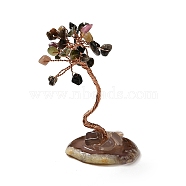 Natural Tourmaline Chips Tree Display Decorations,, Copper Wire Wrapped Feng Shui Ornament, 35~39x39~48x59~80mm(DJEW-C003-01A)