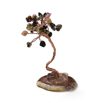Natural Tourmaline Chips Tree Display Decorations,, Copper Wire Wrapped Feng Shui Ornament, 35~39x39~48x59~80mm