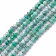 Natural Variscite Beads Strands, Faceted, Round, 3.5mm, Hole: 0.6mm, about 119~121pcs/strand, 15.43~15.63(39.2~39.7cm)(X-G-C003-02)
