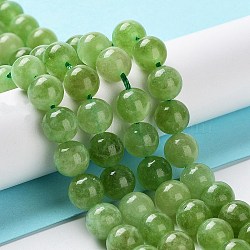 Dyed Natural Malaysia Jade Beads Strands, Round, Yellow Green, 8mm, Hole: 1.2mm, about 23pcs/strand, 7.28 inch(18.5cm)(G-G021-02B-04)