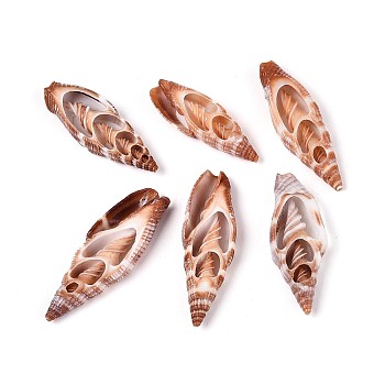 Natural Shell Pendants, Shell Slice Charms, Camel, 28~36x9.5~11.5x5~6mm, Hole: 1.5~2mm