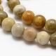 Natural Fossil Coral Beads Strands(G-K194-6mm-05)-3