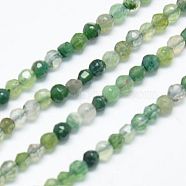 Natural Moss Agate Beads Strands, Faceted, Round, Olive Drab, 2mm, Hole: 0.5(G-J002-03H)