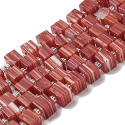 Handwork Lampwork Beads, with Glass Spacer Beads, Square, Salmon, 6x6x5~5.5mm, Hole: 0.9mm, about 54~55pcs/strand, 15.75~15.94''(40~40.5cm)(LAMP-B022-01M)