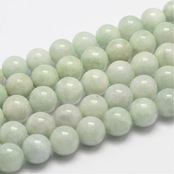 Natural Myanmar Jade/Burmese Jade Beads Strands, Round, 10mm, Hole: 1mm, about 40pcs/strand