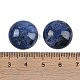 cabochons en sodalite naturelle(G-T020-18mm-33)-3