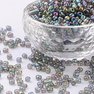 (Repacking Service Available) Round Glass Seed Beads, Transparent Colours Rainbow, Round, Dark Gray, 6/0, 4mm, about 12g/bag(SEED-C016-4mm-172)
