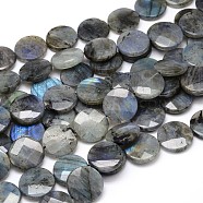 Natural Labradorite Bead Strands, Faceted, Flat Round, 25x6mm, Hole: 1mm, about 16pcs/strand, 16 inch(G-O099-04-B)