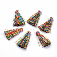 Polyester Tassel Pendant Decorations, Colorful, 30~35mm(X-FIND-S260-D26)