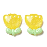 Translucent Resin Cabochons, Flower, Yellow, 19x16x5.5mm(CRES-D018-02D)