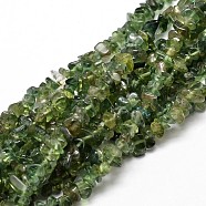 Natural Apatite Chip Beads Strands, 5~14x4~10x1~15mm, Hole: 1mm, about 15.5 inch~16.1 inch(X-G-E241-83)