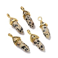 Natural Dalmatian Jasper Pendants, Faceted, with Golden Tone Brass Findings, Lead free & Cadmium Free, Bullet, 27~30x9~10x7~8mm, Hole: 4x3mm(G-K329-49G)