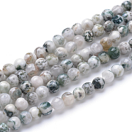 Natural Tree Agate Bead Strands, Round, 4mm, Hole: 0.5mm, about 106pcs/strand, 15.7 inch(X-G-R411-25-4mm)