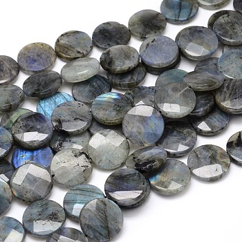 Natural Labradorite Bead Strands, Faceted, Flat Round, 25x6mm, Hole: 1mm, about 16pcs/strand, 16 inch
