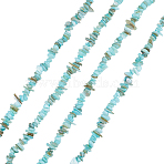 Natural Freshwater Shell Beads Strands, Chip, Dyed, Turquoise, 5~8x5~8x2~6mm, Hole: 1mm, 30.71~32.28''(78~82cm)(BSHE-WH0006-05B)