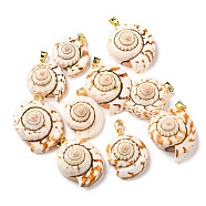 Natural Spiral Shell Red Lip Shell Pendants, Shell Charms with Golden Plated Brass Findings, Seashell Color, 22~29x19~24x11.5~14.5mm, Hole: 4.5x3.5mm(SSHEL-R145-06)