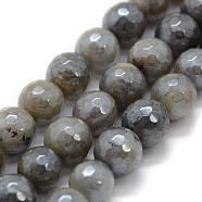 Natural Labradorite Beads Strands, Faceted, Round, 8mm, Hole: 0.8mm, about 48pcs/strand, 15.35 inch(39cm)(G-P385-01-8mm)